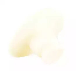 Буфер, амортизация BSG купить